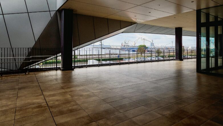 アイコットリョーワ　アーレイ